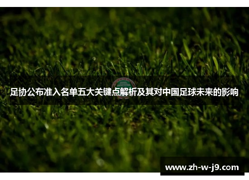 足协公布准入名单五大关键点解析及其对中国足球未来的影响