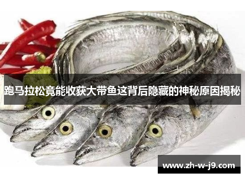 跑马拉松竟能收获大带鱼这背后隐藏的神秘原因揭秘 跑马拉松竟能收获大带鱼这背后隐藏的神秘原因揭秘