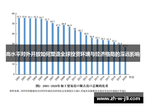 高水平对外开放如何塑造全球投资环境与经济格局的深远影响