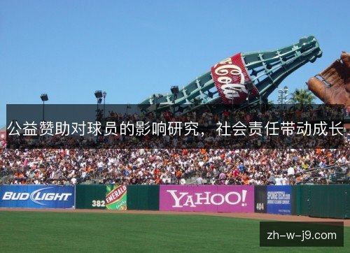 公益赞助对球员的影响研究，社会责任带动成长